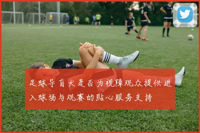 足球导盲犬是否为视障观众提供进入球场与观赛的贴心服务支持