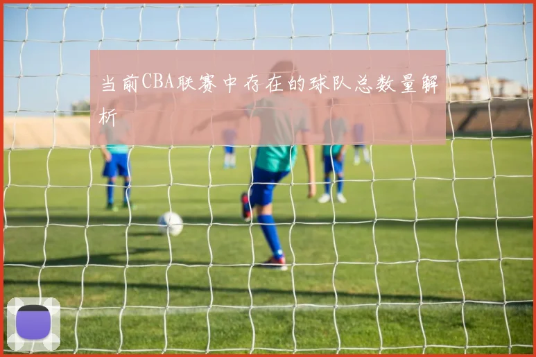 当前CBA联赛中存在的球队总数量解析