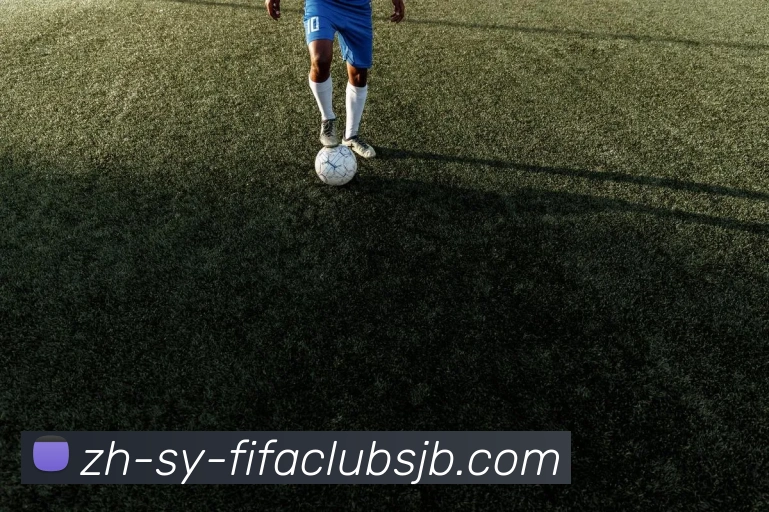 世界杯赛程服务体系